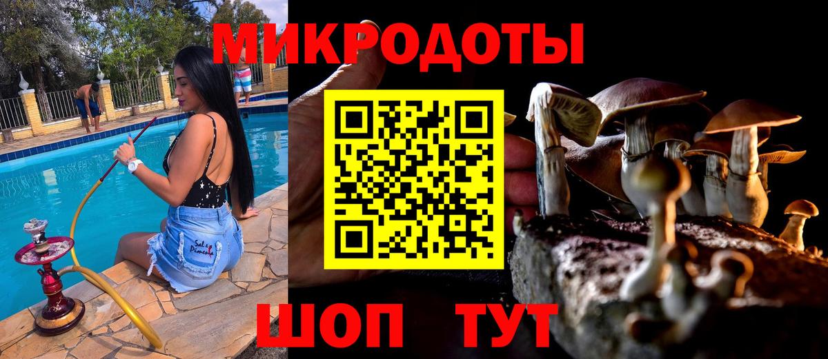 Псилоцибиновые грибы GOLDEN TEACHER  Вход с VPN  Кудрово 