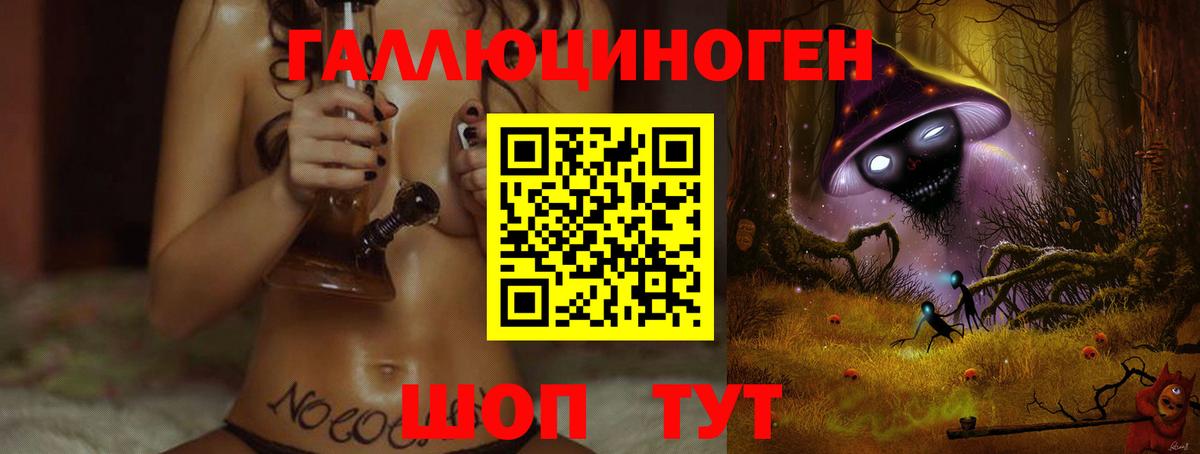 Галлюциногенные грибы Psilocybine cubensis Кудрово